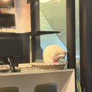 저스트병원 | 대구 1년 단골 왁싱샵 추천🌿경대병원역 '저스트휴' 내돈내산 찐 후기