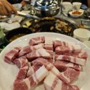 돈덩어리주먹고기