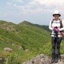 영주 이미지