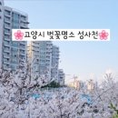 충장로350번길 이미지