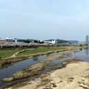 유림공원 티스토리