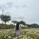 조성꽃순이 이미지