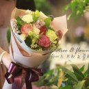 쉐이드트리 네이버블로그