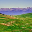 시골축산 이미지