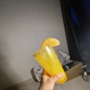 님프플라워 이미지