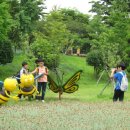 창원대로 이미지