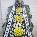 플렌케 이미지