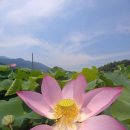 천일민박 이미지