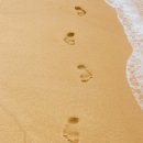 메디피트니스 이미지