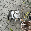대흥다방 이미지