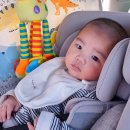 제33회 라면음악회 | 이건 창호, 33년간 33회 이건 음악회(지방 일정)