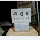 속리산둘레길 보은길3 이미지