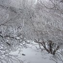 보현목장 이미지