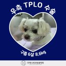 구름동물병원 이미지