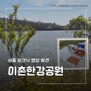 이촌한강공원 피크닉 후기 조용한 한강공원 찾는다면 여기
