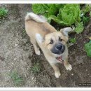 황구농장 이미지