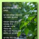 잎사귀에 여름비가 올 때 - 문태준 이미지