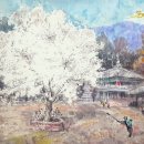 성암사 - 1619 | 성암사