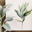 (주)무등산행 이미지