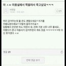 여니크 이미지