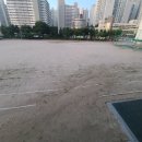 서울미양초등학교 이미지