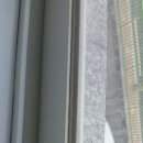 부산체육중학교 이미지