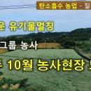 자연유기농