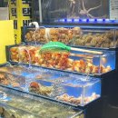 사람휘트니스 올레시장점 | 제주 동문시장 올레수산 회 포장 후기｜가성비·신선함 다 잡은 제주 필수 코스