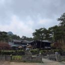 경기중앙동물애견 다이닝코드