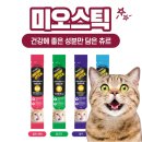 야옹이몰 이미지