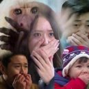 괜스레 이미지