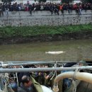 돌고래주유소 이미지