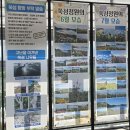 헤엄쳐서 못가요! 고흥 쑥섬 수국 보려면 나로도연안여객터미널 배편 예약 추천 참고사항