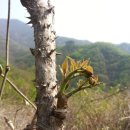 샘물농장 이미지