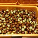 별마로 농장 이미지