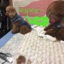 한밤미용실