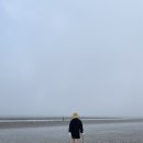 빛과갯벌-2 이미지