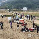 &#39;완연한 가을 만끽하자&#39;…전국 관광지·유원지·산 &#39;들썩&#39; 이미지