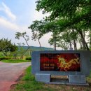 대공원광장대로 이미지