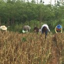 군서면사무소 이미지