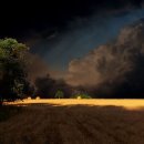 환타지아 이미지