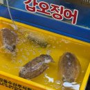 가락시장 횟집 추천, 광양수산 5월 제철 도다리모둠회 가성비 포장 후기