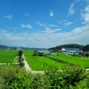 하이얀팬션민박 | |2022 동해시| 당일치기 뚜벅이 여행일기 PART I : 수변공원, 도째비골, 묵호등대, 논골담길 (22. 7. 16.)