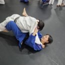 위례유도관