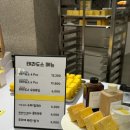 (주)테라도스 이미지