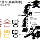 파마나라 이미지