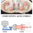 인기 마사지 기기 종류.. 이미지