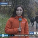 주정차51 이미지