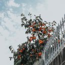 임재농장 이미지