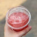 파리바게트 수박주스 맛있네?